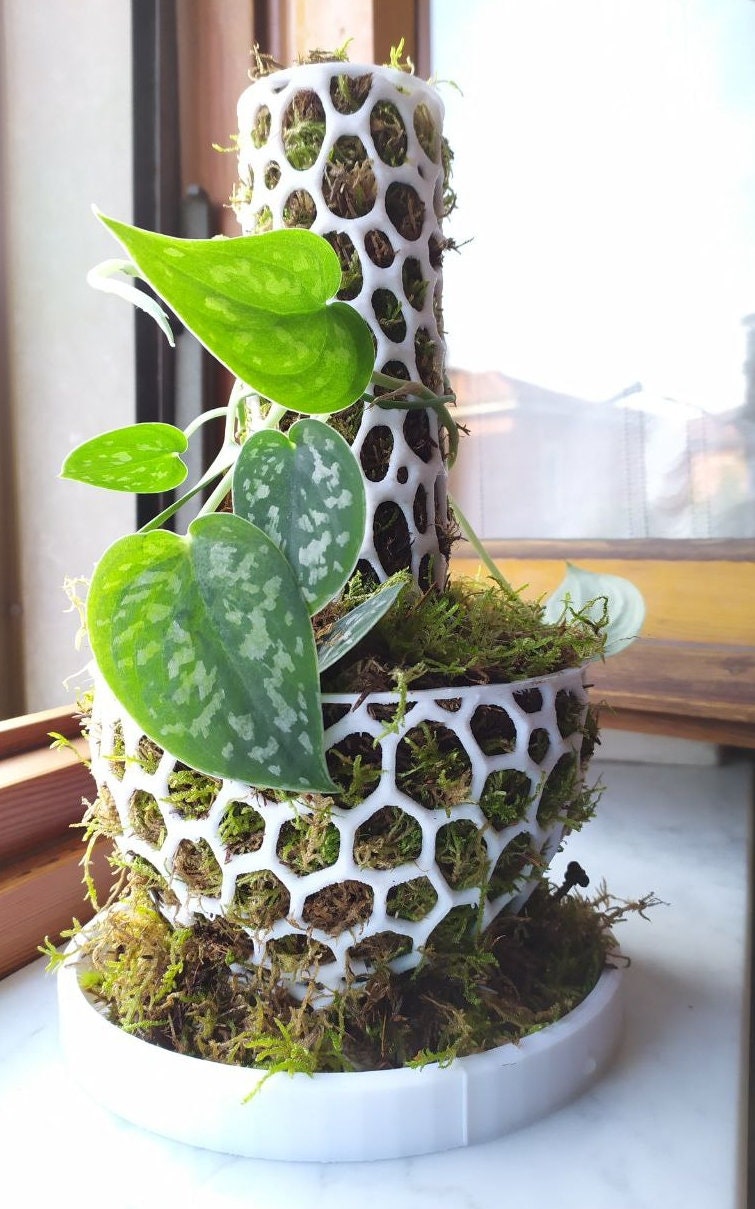 27 Cm Plant Pot - Etsy