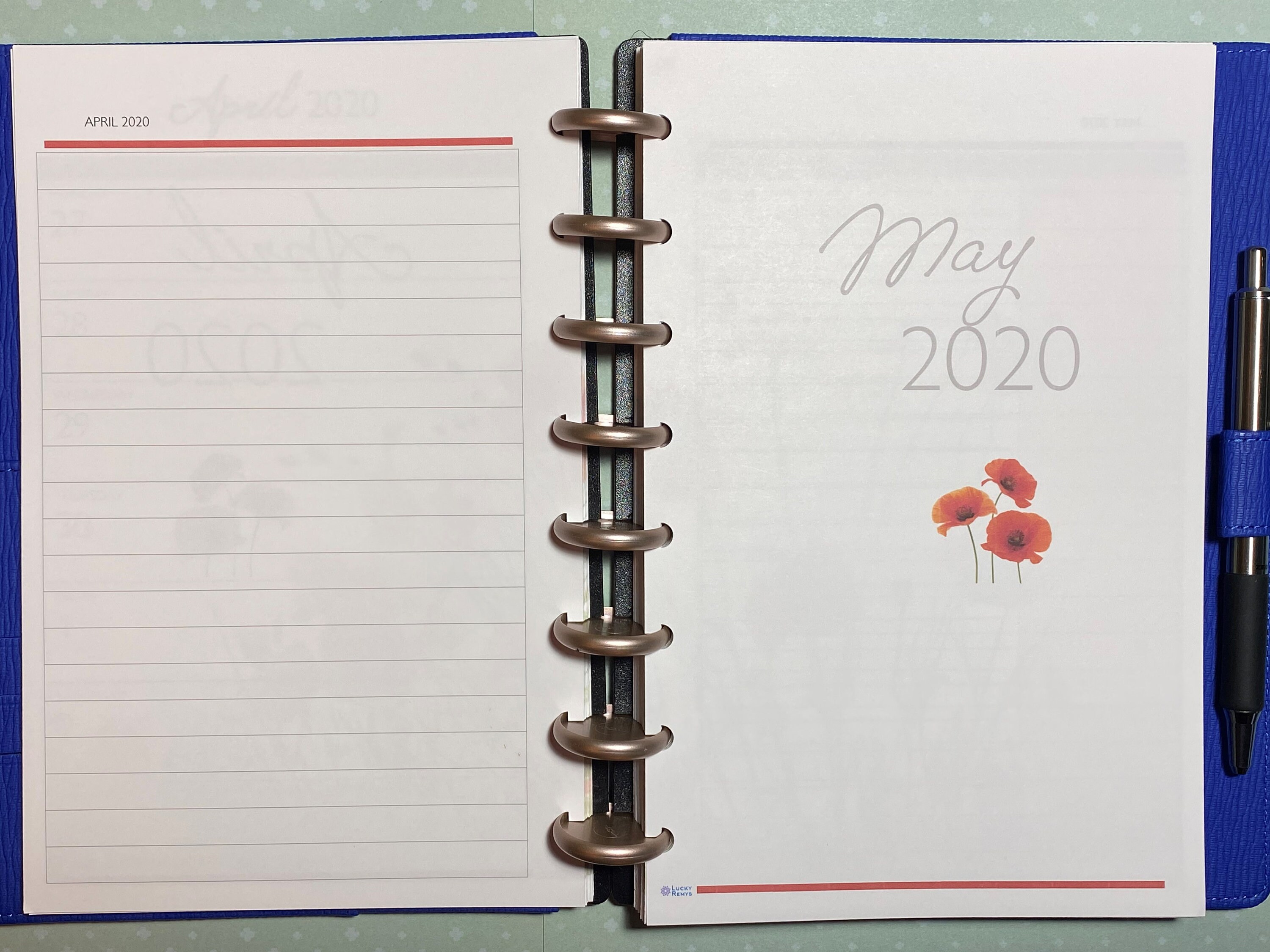 Weekly Discbound Calendar Printed Refill / Poppies Etsy