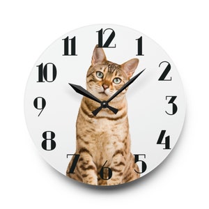 May include: A white clock with black numbers and hands features a brown tabby cat sitting in the center. The cat is looking directly at the camera.