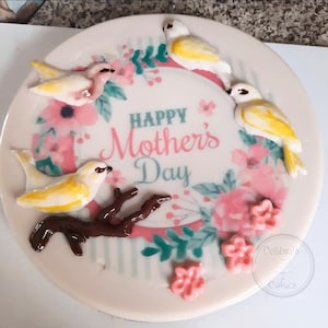 Tranfer edible ink for gelatin/jelly. Tranfer para gelatina comestible.