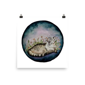 Pine Cone settles in to nap amongst the mushrooms Art Print