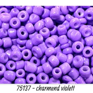 Ø 2 mm • Rocailles 12/0 • Perle di vetro • 25 g • circa 800 pezzi • affascinante viola • (80,00 EUR/chilo) • Codice articolo: 75137