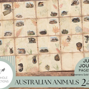 Sólo páginas del diario basura de animales australianos, IMPRIMIBLE, 24 páginas, homenaje al arte de John y Elizabeth Gould, c. 1850, H.W. Litografías de Richter