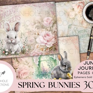 Pagine di diario con coniglietti primaverili, STAMPABILI, Pasqua, 30 pagine di diario con collage, a righe e senza righe per scrapbooking, creazione di biglietti e lavori di carta