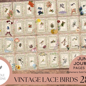 Kit de diario basura Vintage Lace Birds—Sólo páginas—IMPRIMIBLE—tributo a las hermosas ilustraciones de aves de Catharina Klein, 1800-1900