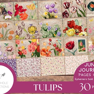 Tulpen Junk Journal Pages Only Kit, PRINTBAAR, 30 collage, gevoerde, ongevoerde vellen, tulpen, honingbijen, libellen, lieveheersbeestjes, kolibries