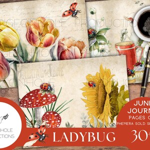 Ladybug Junk Journal Pages Only Kit, PRINTABLE, 30 Collage, Lined and ...