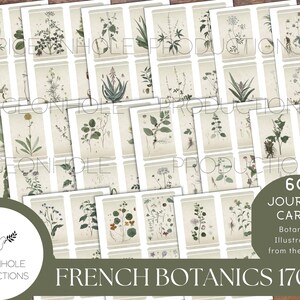 60 cartões de diário botânico francês, anos 1700, IMPRIMÍVEIS, lindas ilustrações vintage, uso para cartões de lixo eletrônico, etiquetas, bolsos e outras coisas efêmeras