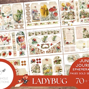 Journal éphémère de coccinelles, imprimable, plus de 70 étiquettes, plis, pochettes, enveloppes, découpes difficiles, autocollants, billets, étiquettes, ex-libris, plus encore !