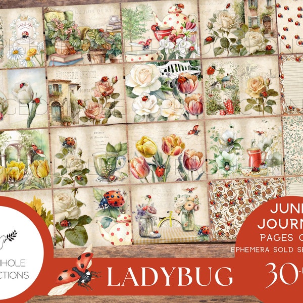 Ladybug Junk Journal Pages Only Kit, PRINTABLE, 30 collage, lined and unlined sheets, sweet ladybugs, flowers and tea parties for crafting!