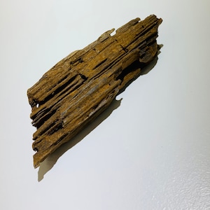 May include: A piece of weathered driftwood with a natural brown color and a rough, textured surface.