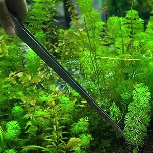 May include: A pair of long, silver-colored tweezers are being used to trim plants in a fish tank. The tweezers are thin and have a pointed tip. The tank is filled with green aquatic plants.