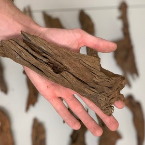 Malaysian Driftwood Aquarium Drift Wood Beautiful Aquarium Wood Drift Wood Fish Tank Decoration Aquarium Plants