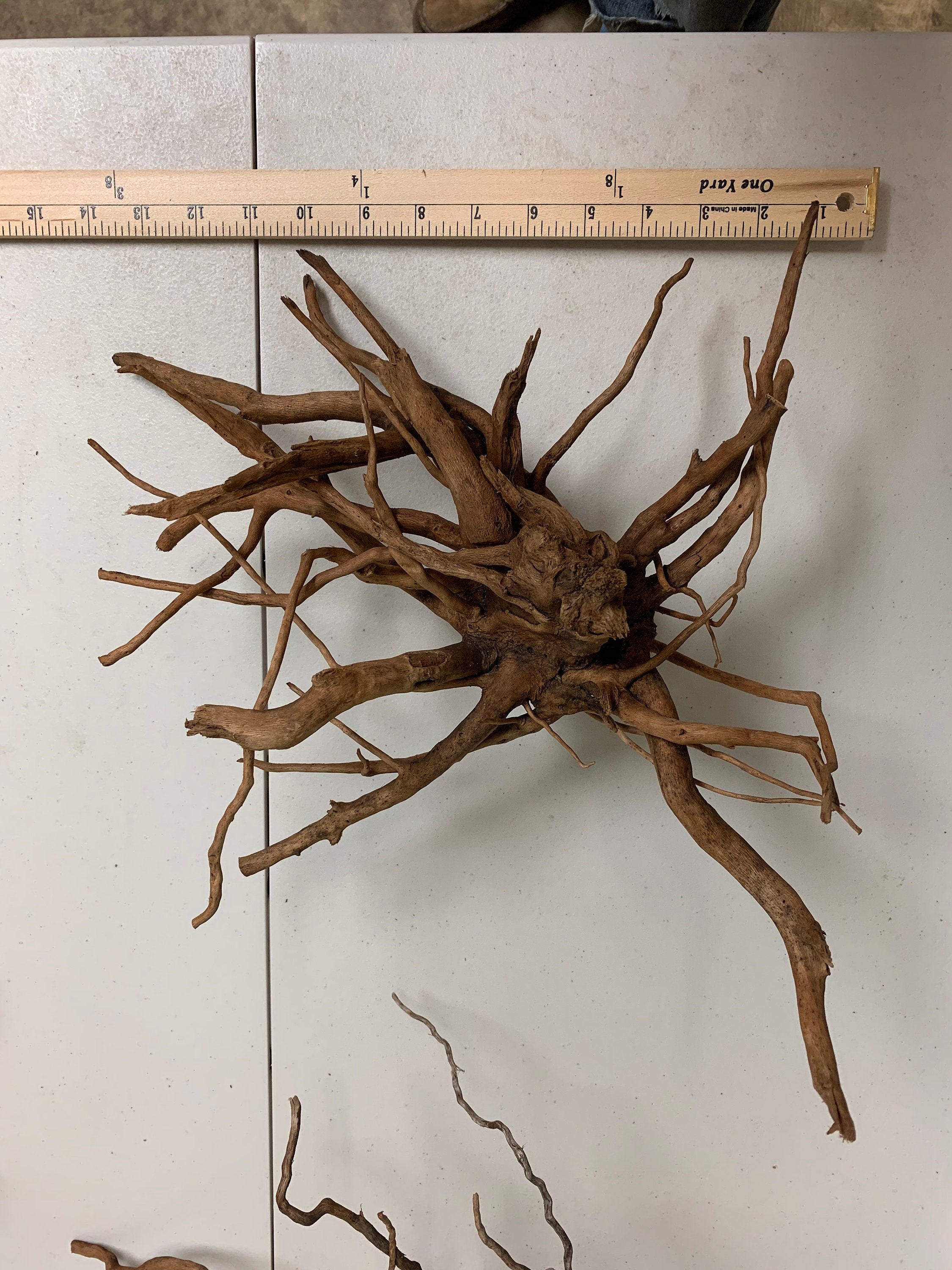 Spiderwood S (21-30cm)