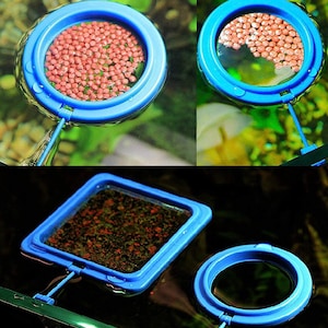 Fish Feeding Ring Aquarium Fish Tank Feeding Ring Suction Cup Floating Food Circle BUY 2 GET 1 FREE