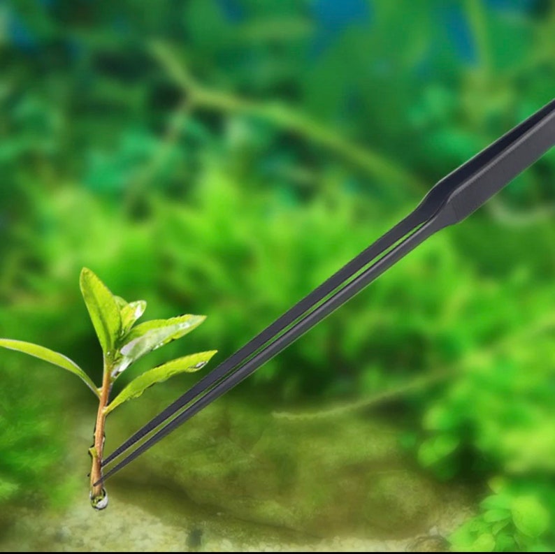 May include: Black metal tweezers with a long, thin, and pointed tip. The tweezers are being used to plant a small green plant in a green and brown background.