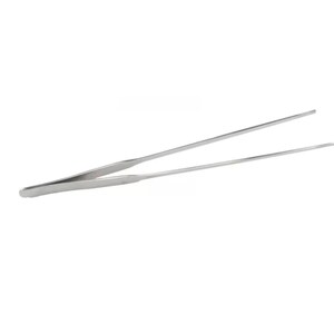 May include: A pair of silver-toned tweezers with a pointed tip.