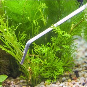 May include: A close-up of a silver aquarium plant trimming tool being used to trim green aquatic plants in a fish tank.