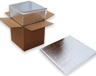 COLD & HOT weather insulated shipping box