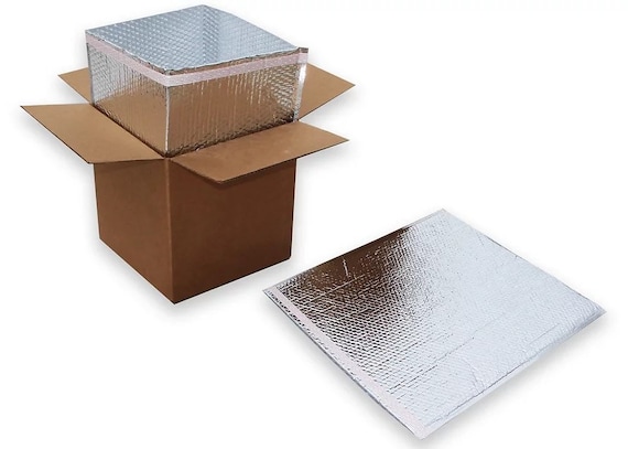 Insulated shipping boxes online