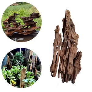 3 Malaysian Driftwood Aquarium Drift Wood Beautiful Aquarium Wood Drift Wood Fish Tank Decoration Aquarium Plants