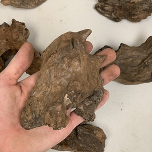 BUY 2 GET 1 FREE Driftwood Stump Drift Wood Beautiful Aquarium Wood Drift Wood