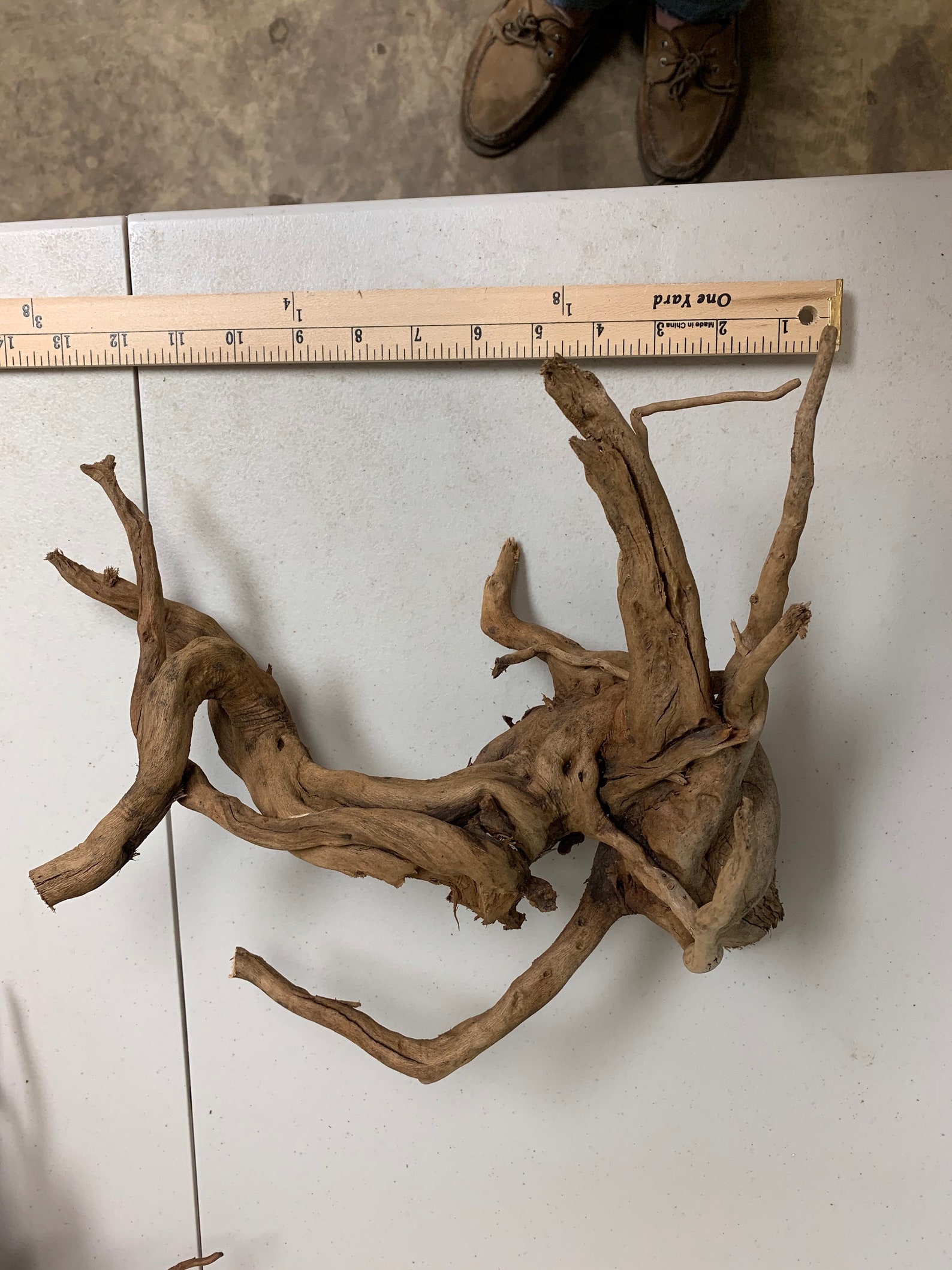 Spider Wood Driftwood Aquarium Drift Wood Aquascape Spiderwood Etsy