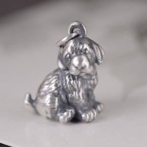 Ciondolo con collana in argento sterling 990 a forma di Golden Retriever, ciondolo con ciondolo a forma di Golden Retriever, ciondolo in argento per animali domestici