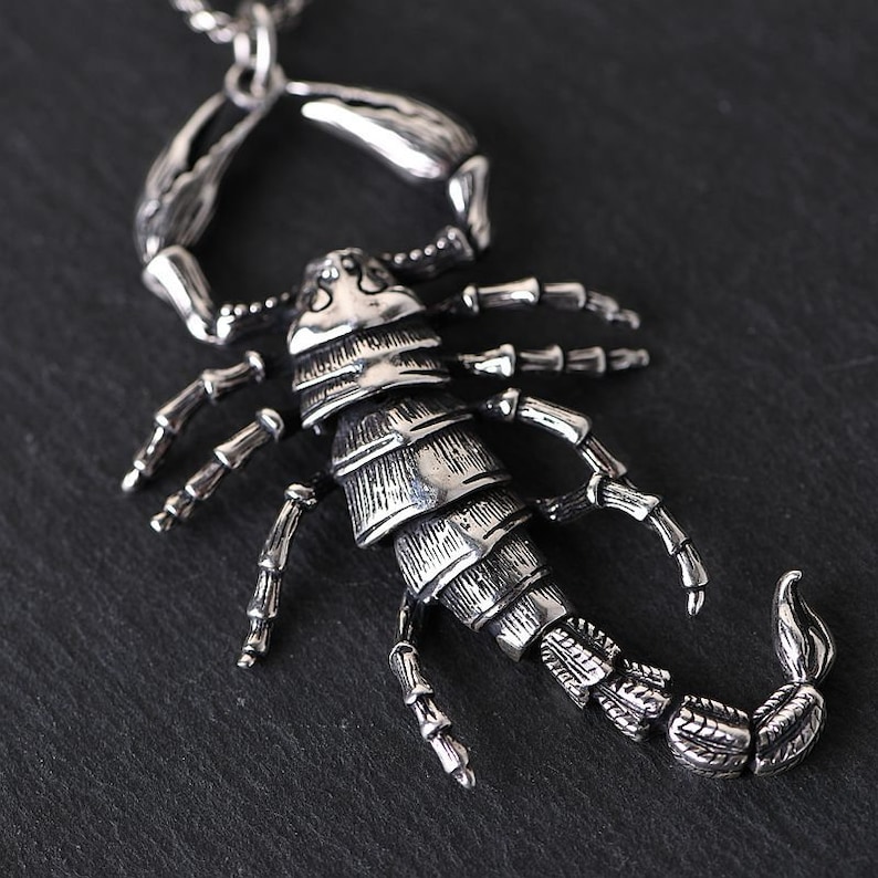 Puede incluir: Un collar con un colgante de escorpi&oacute;n de plata. El escorpi&oacute;n est&aacute; detallado con alas texturizadas y un cuerpo segmentado.