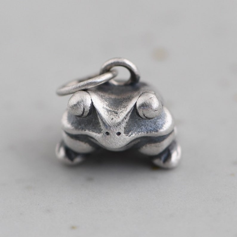 May include: A silver frog charm with a detailed design. The frog has large eyes and a textured surface. The charm has a loop for attaching to a necklace or bracelet.