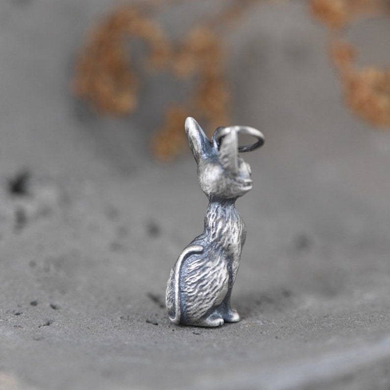 Puede incluir: Un amuleto de plata con forma de conejo sentado. El conejo tiene una superficie texturizada y un peque&ntilde;o bucle en la parte superior para sujetarlo a un collar o pulsera.