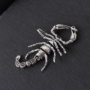 Puede incluir: Un colgante de plata en forma de escorpi&oacute;n con detalles elaborados y un sello 925.