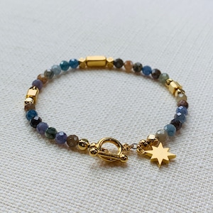 May include: A beaded bracelet featuring a mix of colorful gemstones and gold-colored accents. The bracelet has a toggle clasp and a star charm. The gemstones are in shades of blue, brown, and purple.