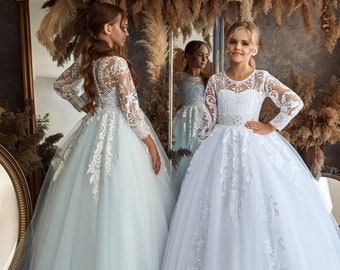 Princess silhouette dress with lace sleeves. Flower girl dress in classic style. Tulle dress with a lace bodice The dress with a embroidered