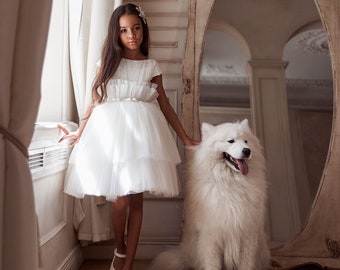 Lush short dress with a pleated tulle skirt and satin bodice with beaded and sequin embroidery. The dress with a thin satin belt with a bow