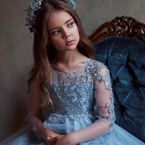 Sky Blue Dress With a Delicate Pattern on the Bodice and Sleeves ...