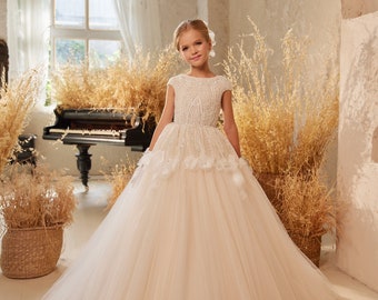 Robe fille rayonnante en tulle roses. Habillez-vous de roses textiles volumineuses. Robe au corsage scintillant brodé de sequins et de perles