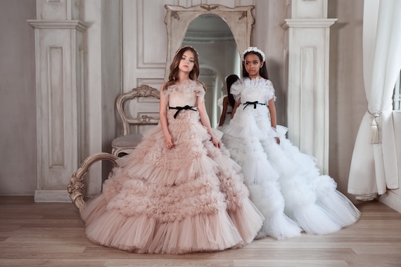 Fluffy Tulle Puffy Tulle Dress With Black Belt. Tulle Frills Detail the  Bodice With a T-shirt Multilayer Tulle Skirt. Snow-white Dress Cloud 