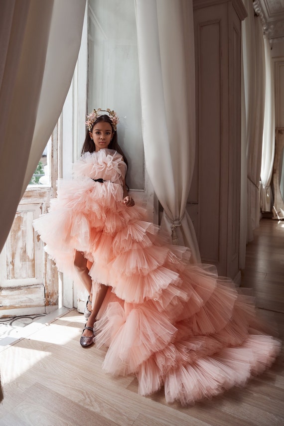 Delicate Cloud Dress for Flower Girls. Pink Dress in Tulle Feathers. A  Fluffy Cancan-style Dress. Dress With Black Belt. Birthday Dress 