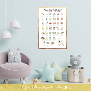 How Big is Baby Fruit Chart, OBGYN Art Pregnancy Education, Midwife Poster, Doula, Baby Fruit Size Chart, Chiropractic Wall Art, Gift