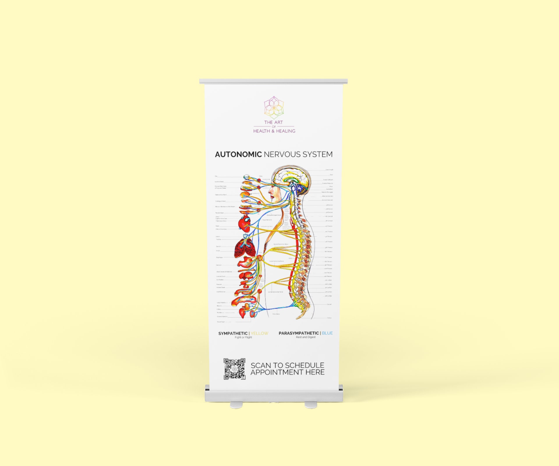 カイロプラクティックポスター Chiropractic banner - Etsy 日本