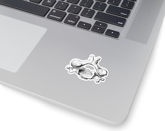 Chiropractor Sticker, Perfect for DC, Chiro Student, Gift for Chiropractor, Spine, BJ Palmer, Sid Williams, DD Palmer