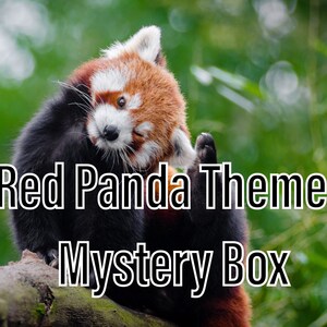 Boîte Mystère Panda Rouge personnalisée avec des accents de fierté en option ! // n'importe quel drapeau de fierté !