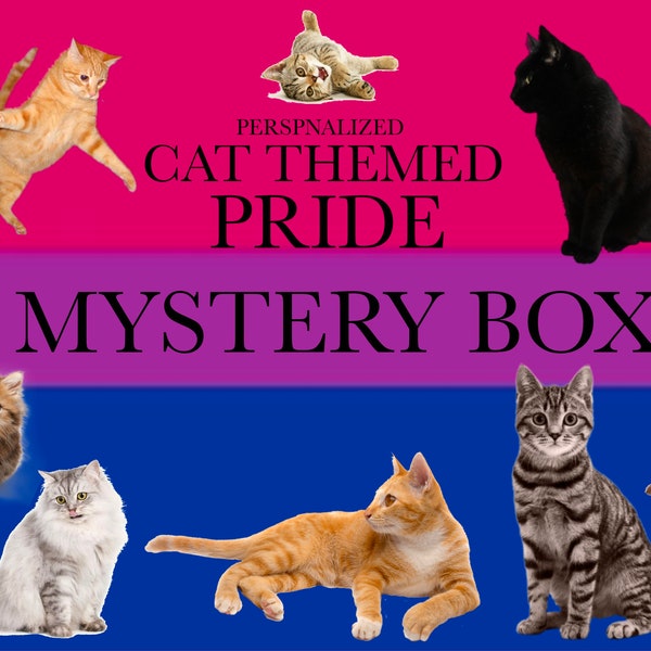 Personalized Cat Themed Bisexual/romantic  Pride Mystery Box