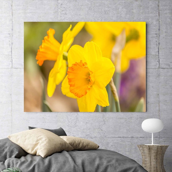 Yellow Daffodils Photo, Daffodil Picture, Canvas Art, Wall Art, Nature Photograph, Fine Art Print, Home Décor, Wall Hangings, Decoration