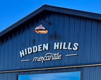 Lettere a canale personalizzate in acciaio inox: insegna con logo in metallo spazzolato, insegna per esterni, facciata di edifici.