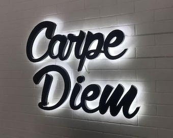 Custom 3D Metal Sign | Backlit LED Business Logo | Stainless Steel Office Wall Art