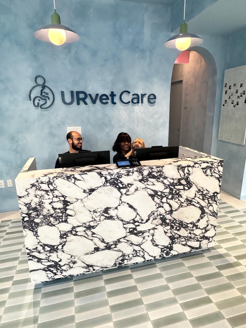 May include: A reception desk with a black and white marble pattern stands in front of a light blue wall featuring the text URvet Care. Two people and a small dog are positioned behind the desk, which is illuminated by two hanging pendant lights.
