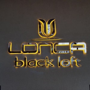 Signage for Wall Business, Custom Illuminated Sign Logo, Custom Business Sign, 3D Logo Sign, Company Signage ,Monoblock letters