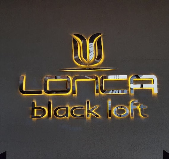 Custom Illuminated 3D Logo Sign, Stainless Steel Monoblock Letters